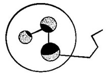 esquema influencias "A"